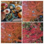 ヒメ日記 2025/11/15 11:52 投稿 有本和美 五十路マダム　和歌山店