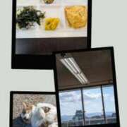 ヒメ日記 2025/11/16 10:30 投稿 有本和美 五十路マダム　和歌山店