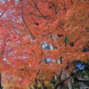 ヒメ日記 2025/11/21 10:36 投稿 有本和美 五十路マダム　和歌山店