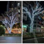 ヒメ日記 2025/11/28 07:40 投稿 有本和美 五十路マダム　和歌山店