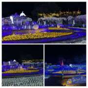 ヒメ日記 2025/12/06 07:00 投稿 有本和美 五十路マダム　和歌山店