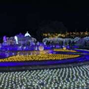 ヒメ日記 2025/12/08 06:52 投稿 有本和美 五十路マダム　和歌山店