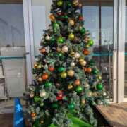 ヒメ日記 2025/12/10 06:20 投稿 有本和美 五十路マダム　和歌山店