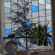 ヒメ日記 2025/12/18 07:08 投稿 有本和美 五十路マダム　和歌山店