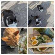 ヒメ日記 2025/12/20 05:36 投稿 有本和美 五十路マダム　和歌山店