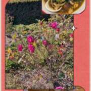 ヒメ日記 2026/02/04 06:40 投稿 有本和美 五十路マダム　和歌山店