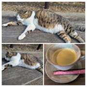 ヒメ日記 2026/02/17 05:48 投稿 有本和美 五十路マダム　和歌山店