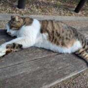 ヒメ日記 2026/02/25 15:18 投稿 有本和美 五十路マダム　和歌山店