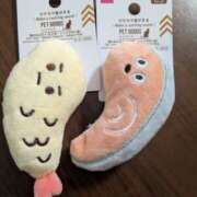 ヒメ日記 2026/03/16 15:14 投稿 有本和美 五十路マダム　和歌山店