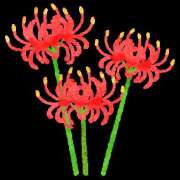 ヒメ日記 2026/03/17 08:12 投稿 有本和美 五十路マダム　和歌山店