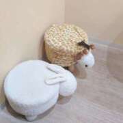 ヒメ日記 2026/03/25 11:38 投稿 有本和美 五十路マダム　和歌山店