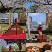 ヒメ日記 2026/04/04 08:06 投稿 有本和美 五十路マダム　和歌山店