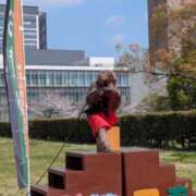 ヒメ日記 2026/04/11 07:48 投稿 有本和美 五十路マダム　和歌山店