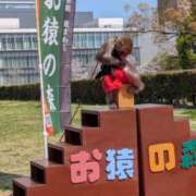 ヒメ日記 2026/04/12 08:30 投稿 有本和美 五十路マダム　和歌山店