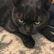 ヒメ日記 2026/04/15 12:42 投稿 有本和美 五十路マダム　和歌山店