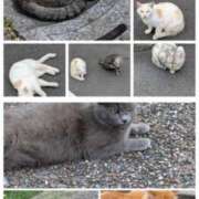 ヒメ日記 2026/04/25 07:46 投稿 有本和美 五十路マダム　和歌山店