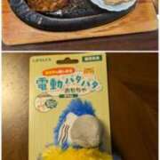 ヒメ日記 2026/06/03 06:44 投稿 有本和美 五十路マダム　和歌山店