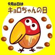 ヒメ日記 2026/09/06 12:28 投稿 有本和美 五十路マダム　和歌山店