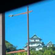 ヒメ日記 2026/09/19 09:02 投稿 有本和美 五十路マダム　和歌山店