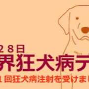 ヒメ日記 2026/09/28 07:32 投稿 有本和美 五十路マダム　和歌山店