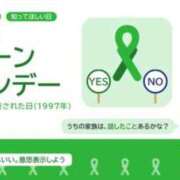 ヒメ日記 2026/10/16 08:04 投稿 有本和美 五十路マダム　和歌山店