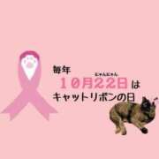 ヒメ日記 2026/10/22 07:52 投稿 有本和美 五十路マダム　和歌山店