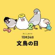 ヒメ日記 2026/10/24 07:32 投稿 有本和美 五十路マダム　和歌山店