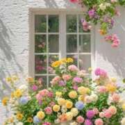 ヒメ日記 2025/03/26 21:29 投稿 ほのか 横浜しこたまクリニック