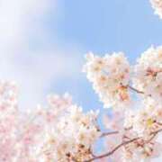 ヒメ日記 2025/04/07 12:53 投稿 ほのか 横浜しこたまクリニック