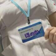 ヒメ日記 2025/04/09 10:43 投稿 ほのか 横浜しこたまクリニック