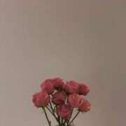 ヒメ日記 2025/05/21 11:23 投稿 ほのか 横浜しこたまクリニック