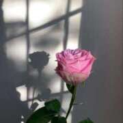 ヒメ日記 2025/05/21 11:28 投稿 ほのか 横浜しこたまクリニック