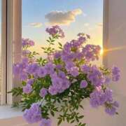 ヒメ日記 2025/05/21 11:41 投稿 ほのか 横浜しこたまクリニック