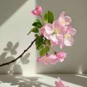 ヒメ日記 2025/05/21 11:53 投稿 ほのか 横浜しこたまクリニック