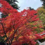 ヒメ日記 2025/11/08 18:35 投稿 なお 千葉松戸ちゃんこ