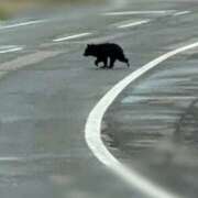 なお 今日も素敵な出会いがあればいいな〜 千葉松戸ちゃんこ