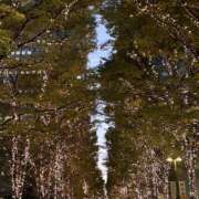 なお 今日も素敵な出会いがあればいいなあ 千葉松戸ちゃんこ