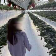 なお いい出会いがあればいいな〜 千葉松戸ちゃんこ