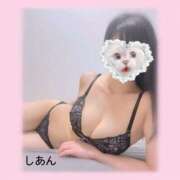 ヒメ日記 2025/02/08 13:39 投稿 しあん 上野添い寝女子