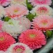 あお 移籍のおしらせ ごほうびSPA京都店
