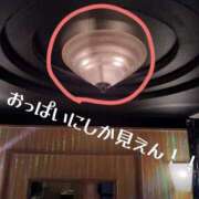 ヒメ日記 2025/05/27 13:49 投稿 森しおん 松戸人妻花壇