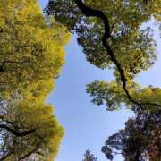 ヒメ日記 2025/08/04 13:48 投稿 森しおん 松戸人妻花壇