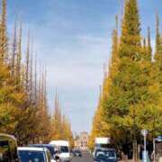 ヒメ日記 2025/11/27 10:49 投稿 森しおん 松戸人妻花壇