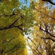 ヒメ日記 2025/11/27 23:45 投稿 森しおん 松戸人妻花壇