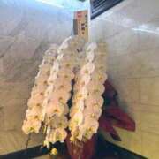 ヒメ日記 2025/03/05 12:05 投稿 伊織 ルーブル