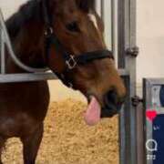 ヒメ日記 2025/04/05 07:05 投稿 伊織 ルーブル