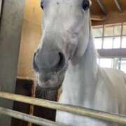 ヒメ日記 2025/10/11 03:24 投稿 伊織 ルーブル