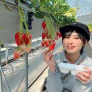 ヒメ日記 2026/04/24 15:54 投稿 伊織 ルーブル