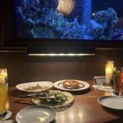 ヒメ日記 2026/03/10 10:09 投稿 ここあ スピードエコ日本橋店