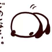 ヒメ日記 2026/08/06 09:33 投稿 ここあ スピードエコ日本橋店